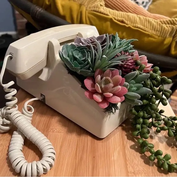 Vintage office phone with succulents - Picture 2 of 3